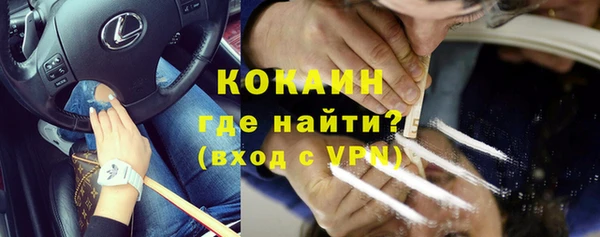 индика Алексеевка