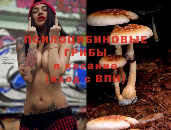 ешки Алексин
