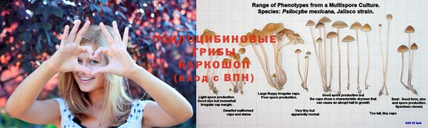 MDMA Premium VHQ Зеленокумск