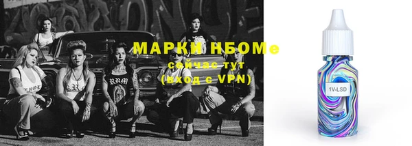 PSILOCYBIN Алзамай