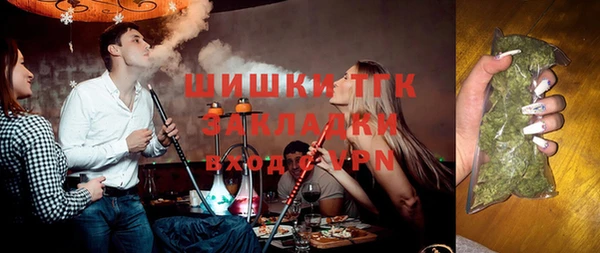 PSILOCYBIN Алзамай