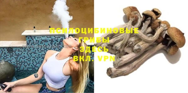 PSILOCYBIN Алзамай