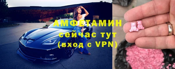 ешки Алексин