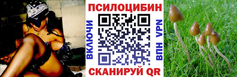 Псилоцибиновые грибы Psilocybe  Медынь 